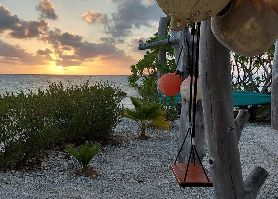 Pension Tiputa Lodge Rangiroa Εξωτερικό φωτογραφία