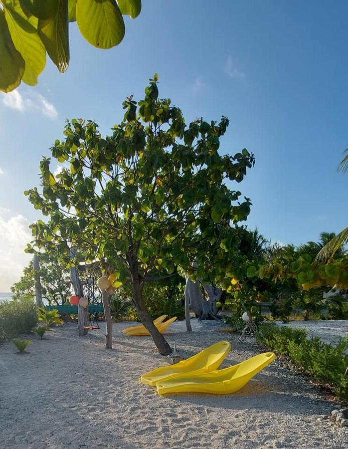Pension Tiputa Lodge Rangiroa Εξωτερικό φωτογραφία