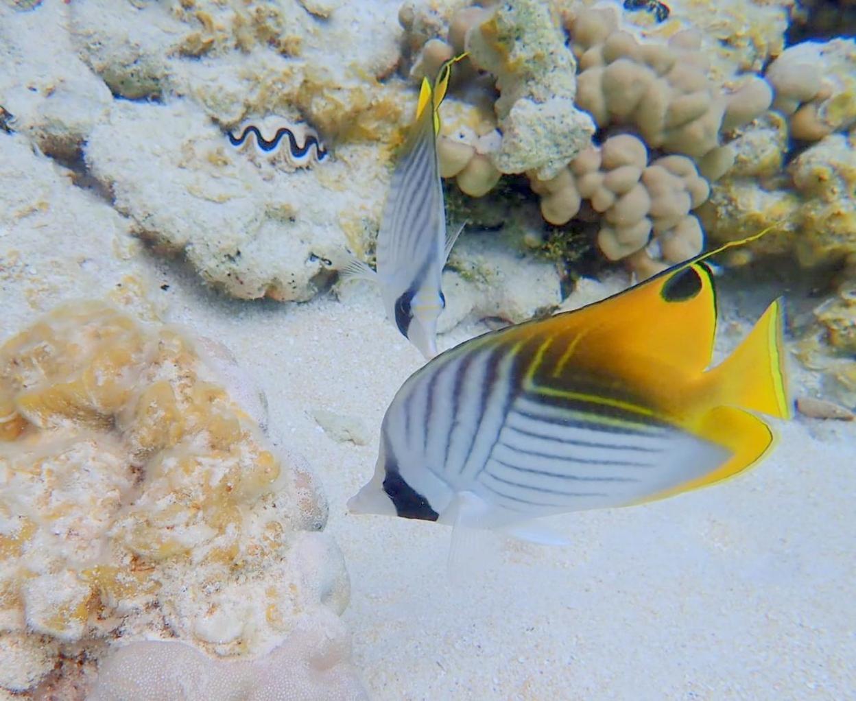 Pension Tiputa Lodge Rangiroa Εξωτερικό φωτογραφία