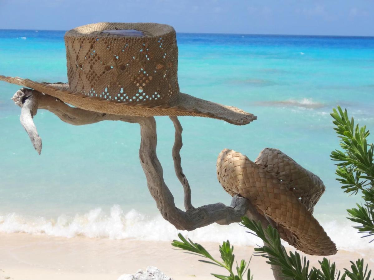Pension Tiputa Lodge Rangiroa Εξωτερικό φωτογραφία